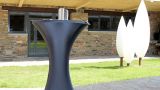 Bodas